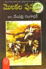 Molakala Punnami