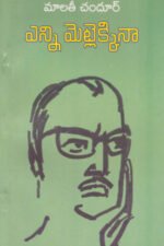 Enni Metlekkina