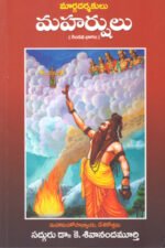 Margadarshakulu- Maharshulu