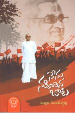 Nenu Nadichina Bata