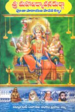 Sri Mahavidhya Vanadhurga Poojaparayan Hanana kalpa