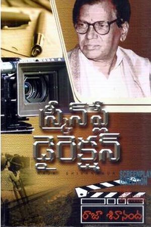 Screenplay Direction