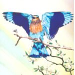 Palapitta Katha-2025-Vilakshana Kathala Sankalanam